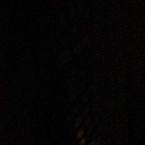 Meet your Posher, Ernesto